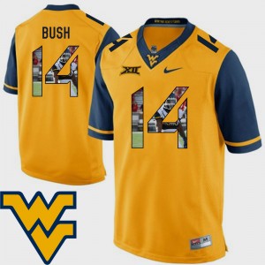 Men Football Pictorial Fashion West Virginia Mountaineers #14 Tevin Bush college Jersey - Gold